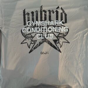 Gymshark Gray Graphic Tee